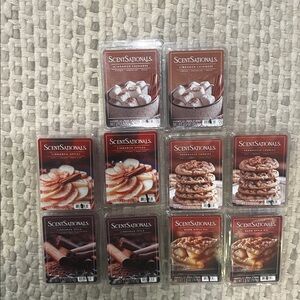 10 ScentSationals New fall wax scented candle cubes cinnamon apple pie spice